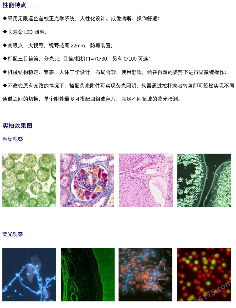 生物显微镜MHL3000-三目生物显微镜-广州明慧科技