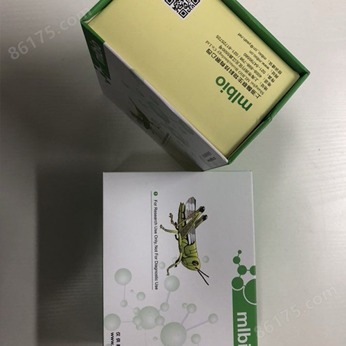 氧化磷酸化系列/NADH辅酶Q测试盒/(微量法)