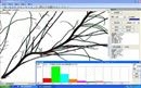 ROOT-700植物根系生长监测系统